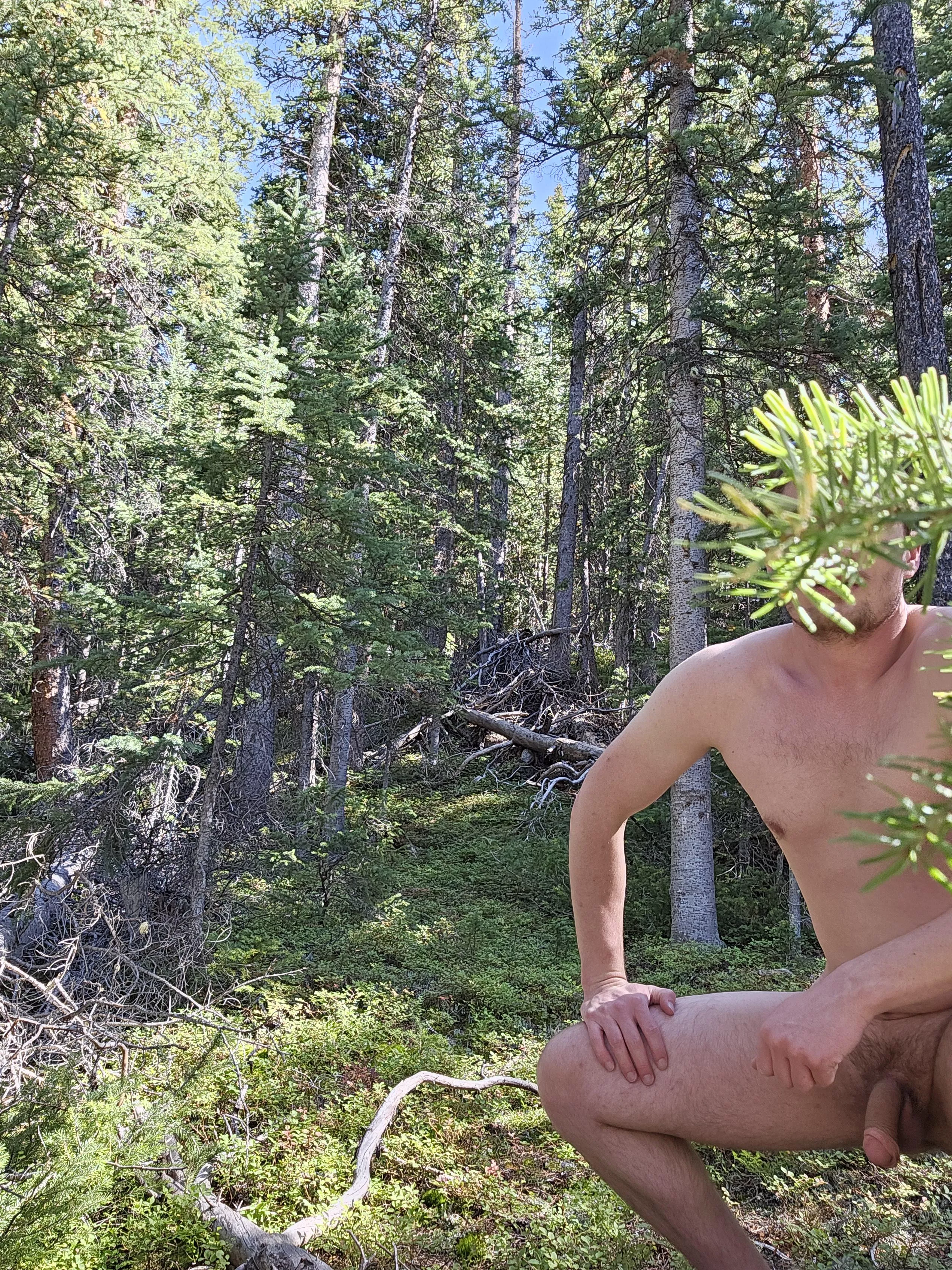 Naked in the forest