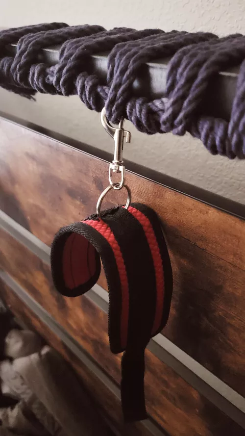 Needed lobster clip anchor points