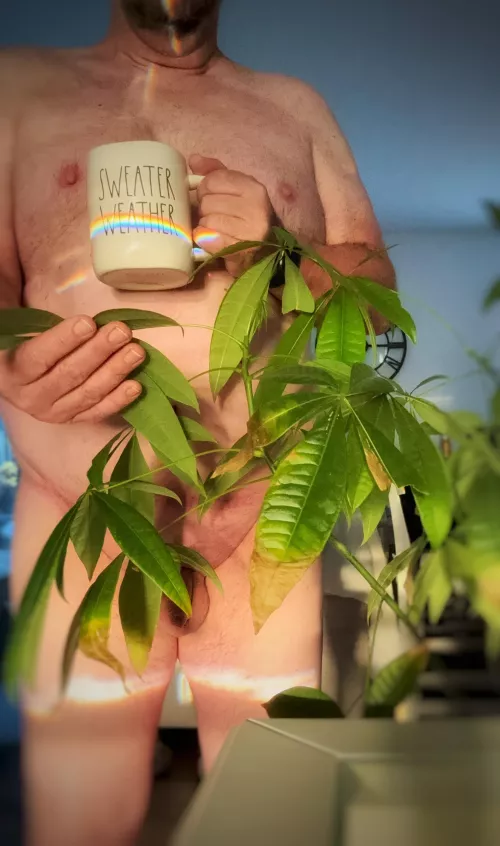 Sunrise, coffee and plants..