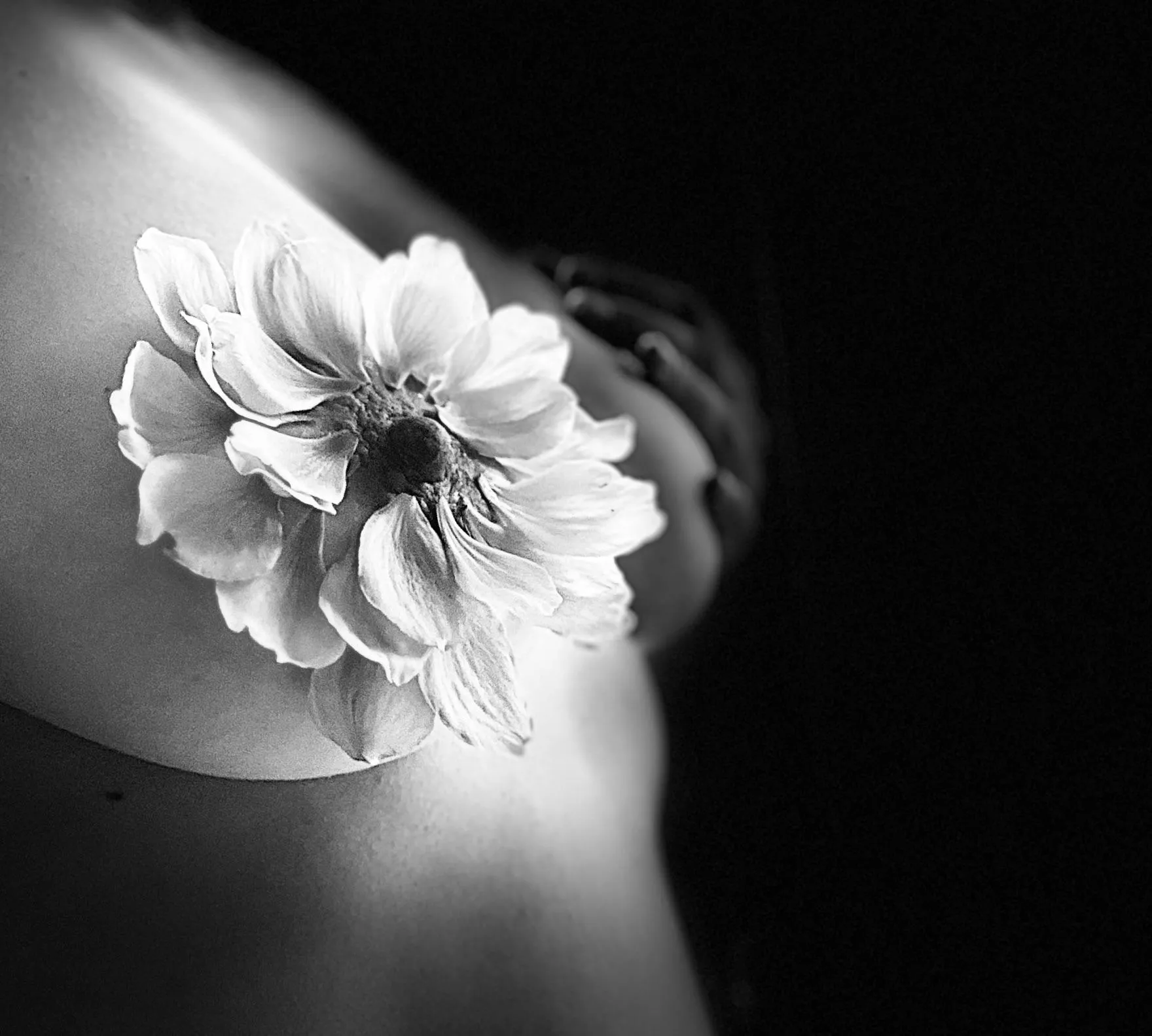 Can’t stop me blossoming…