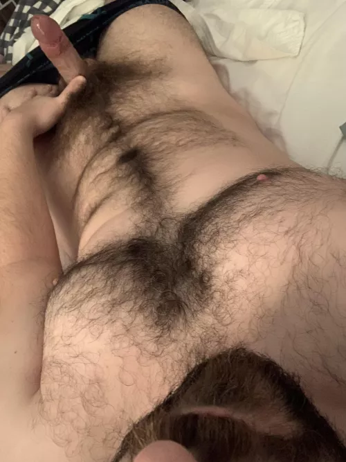 Just your average otter 