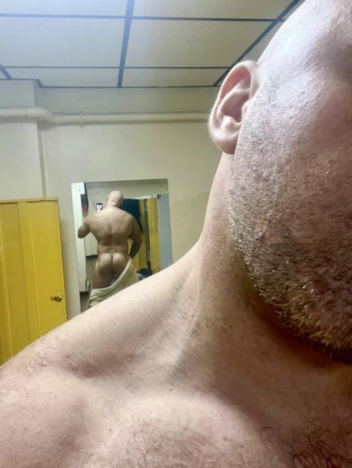 Meaty [34]
