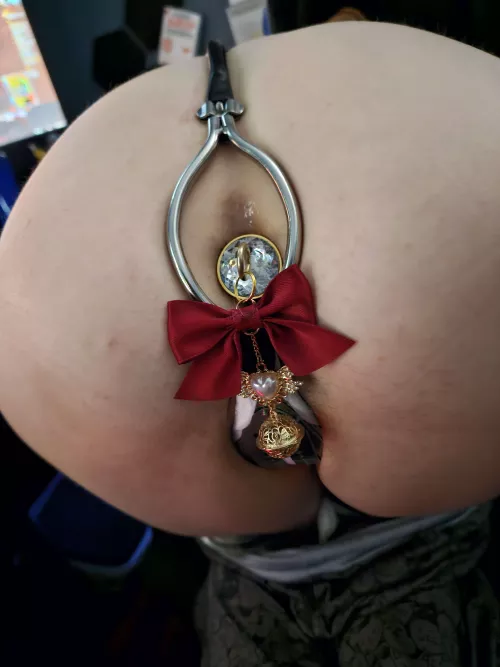 A gift for my master <3 Wrapped up with a bow and all!