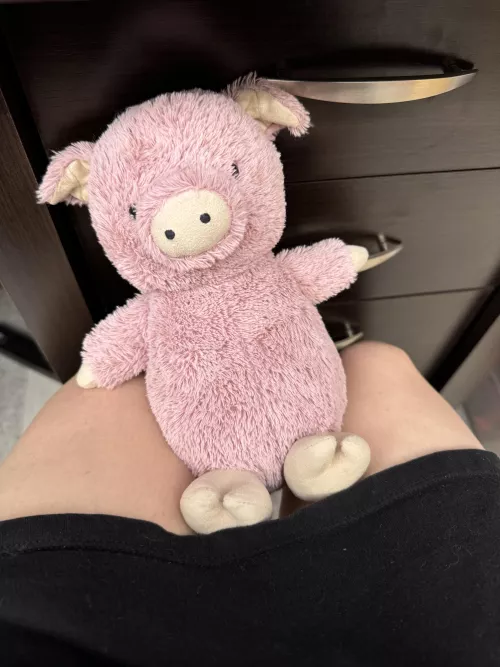 brought my piggy, stella, to work with me today 🥺💕