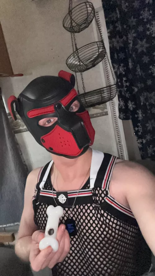 Puppy found a bone🦴 