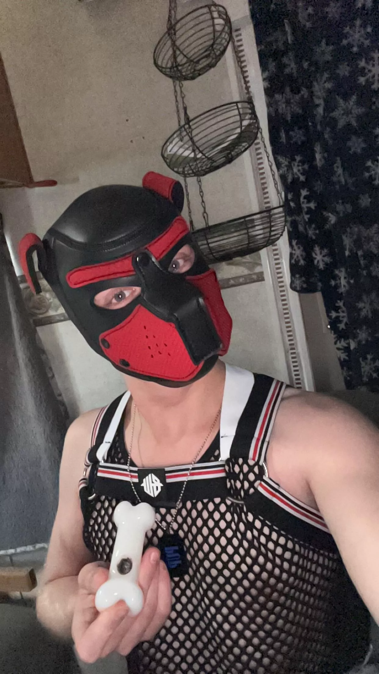 Puppy found a bone🦴 