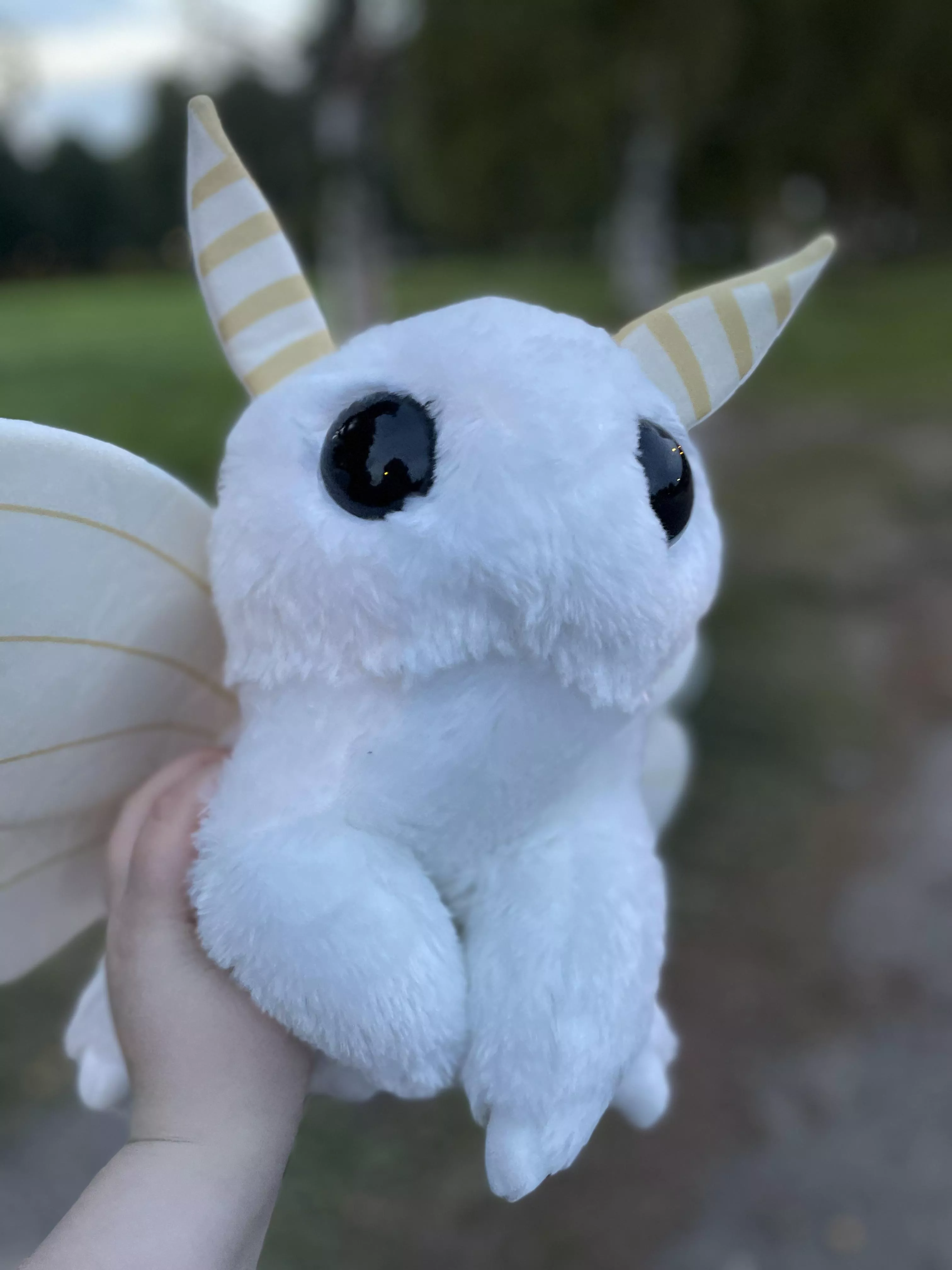 Went for a walk and it slowly got dark!