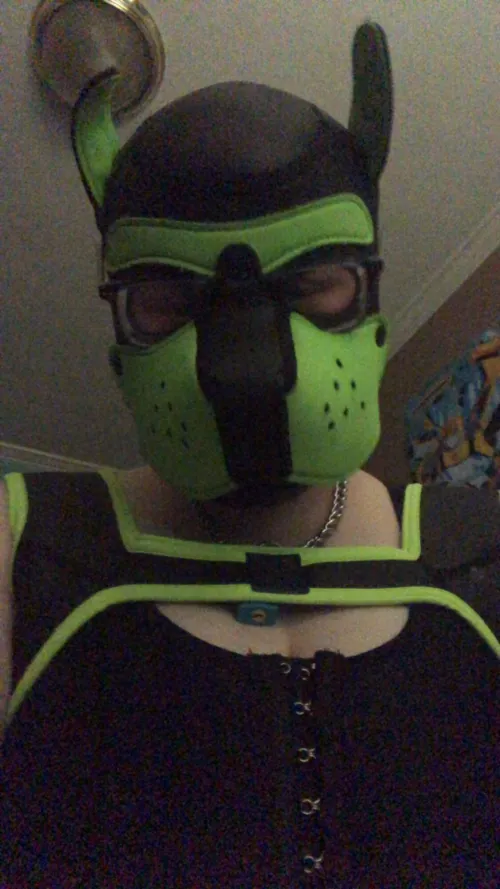 Wruff!!