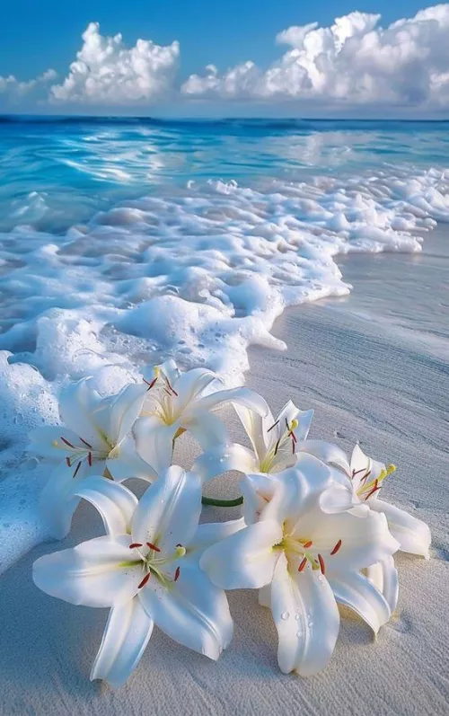 👉Bouquet of white lilies lying on white sand washed by foamy turquoise surf wave, fantastic, photorealistic picture, tumblr, breathtaking beautiful white beach, detailed lily flowers, wonderful reflection of the sky, close-up!!
