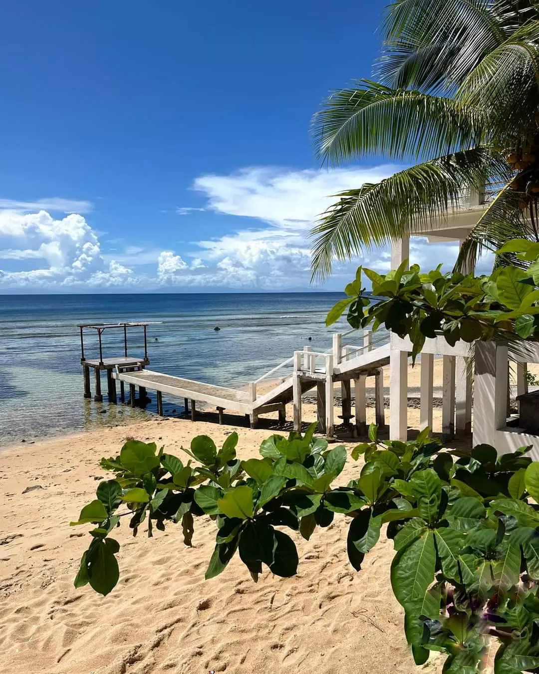 Hoping for a wonderful vacation at the beach. 