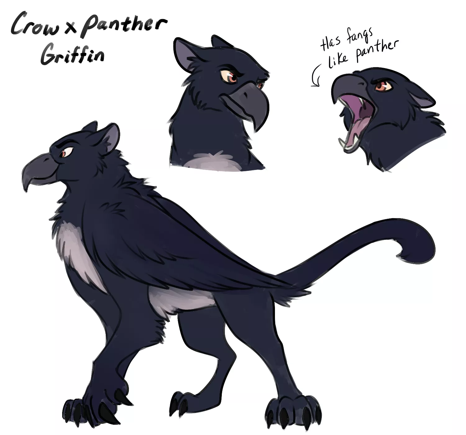 How Do You Feel About Unconventional Griffin Species? (Adoptable)