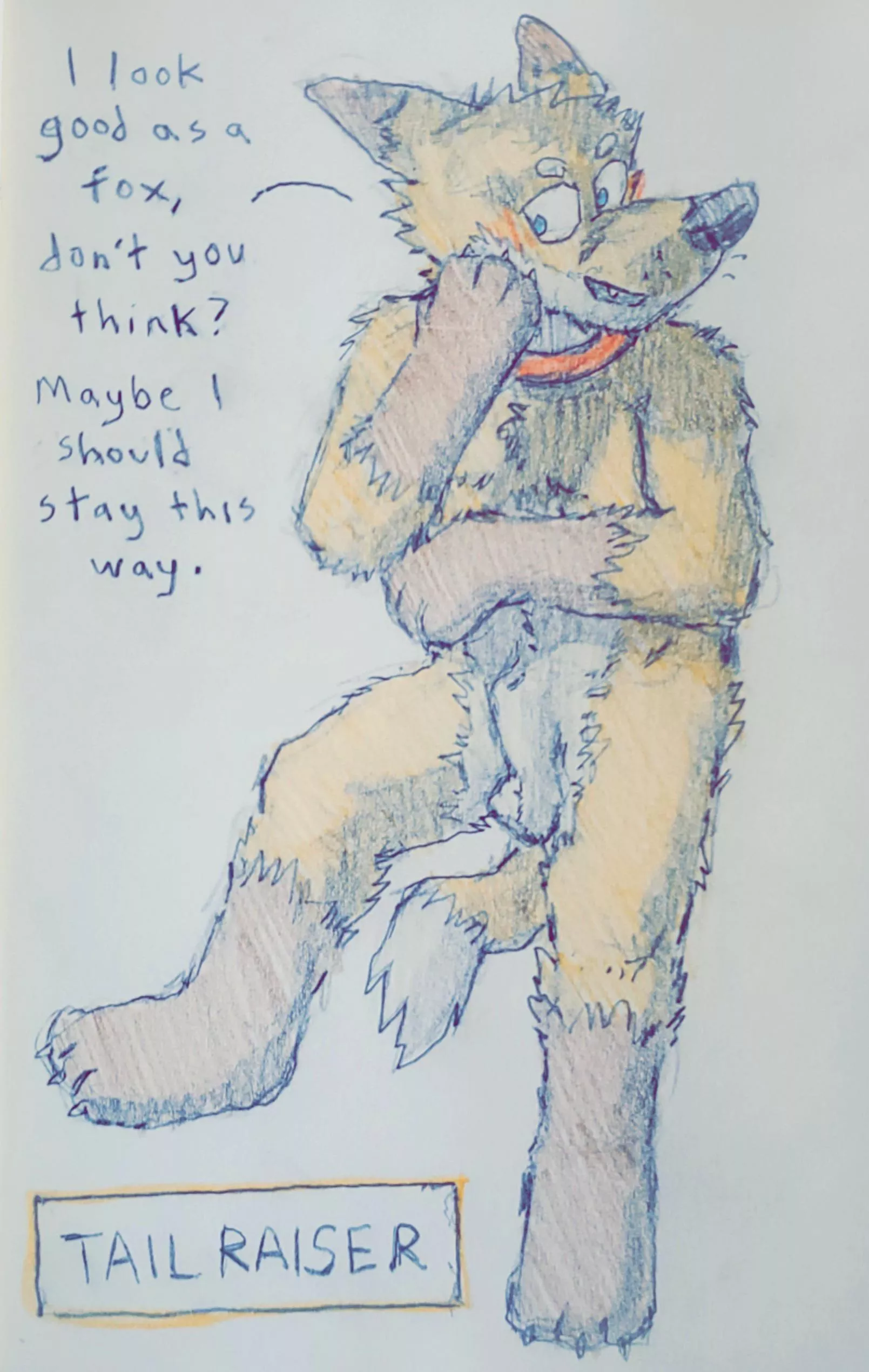 I Wanna be a Tail Raiser :3 (WolfSL)