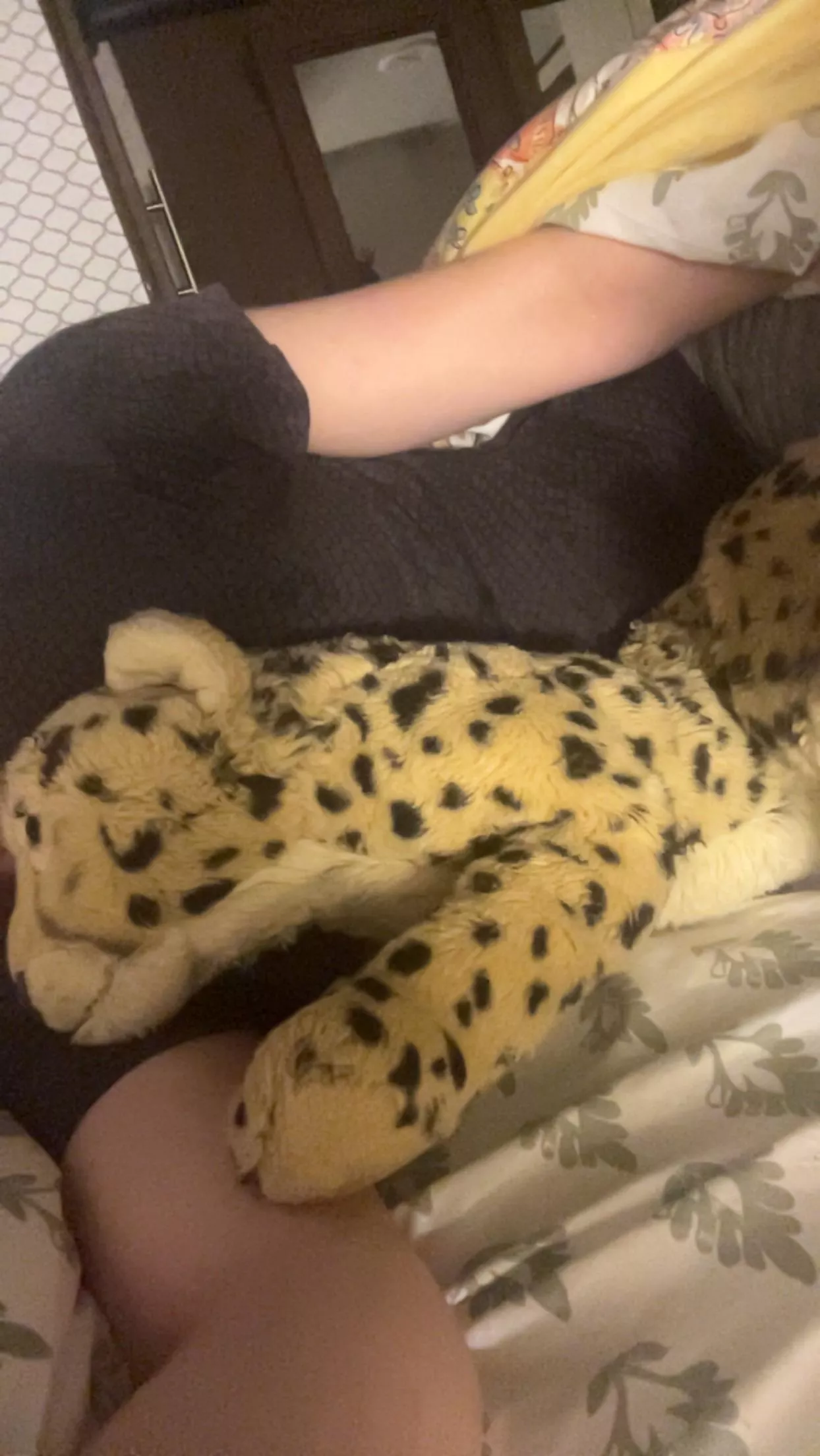 Love cuddling my stuffies