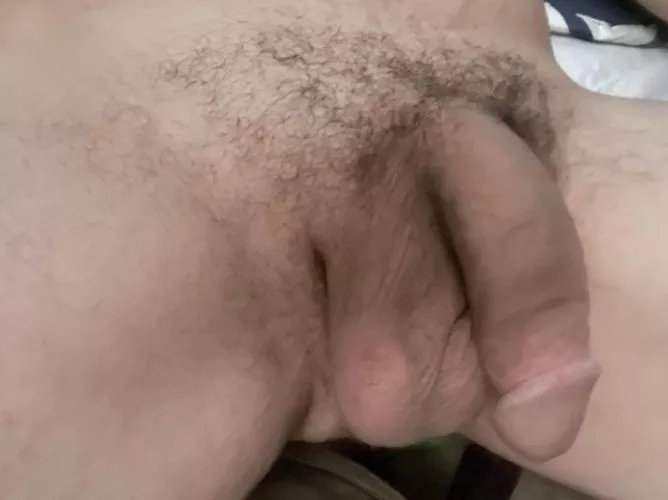 M21 who wants to compare soft and hard