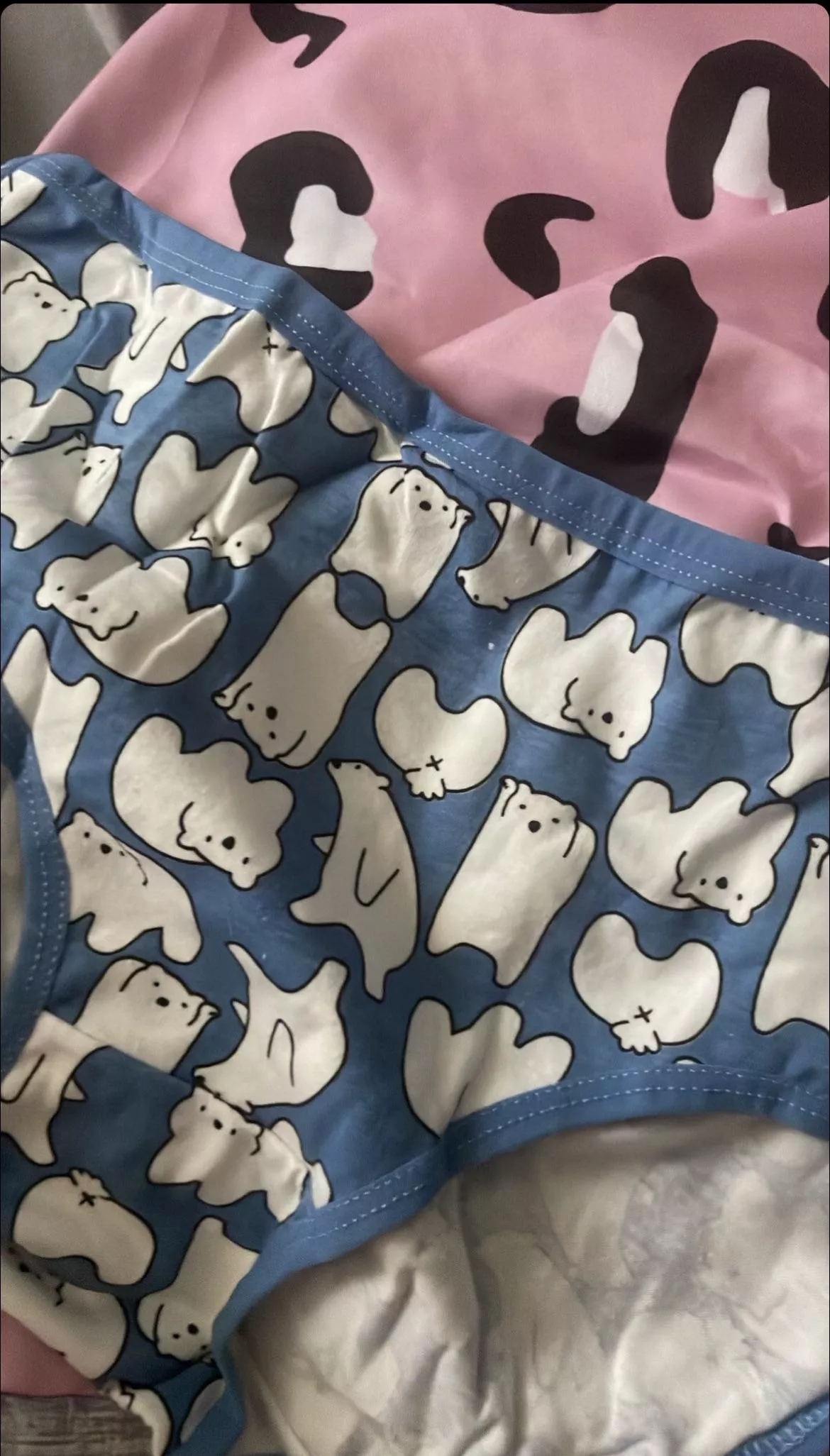 my pretty knickers🐻‍❄️🎀