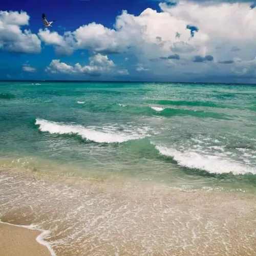 Waking up in the morning with this view is just a perfect way to start a day. 