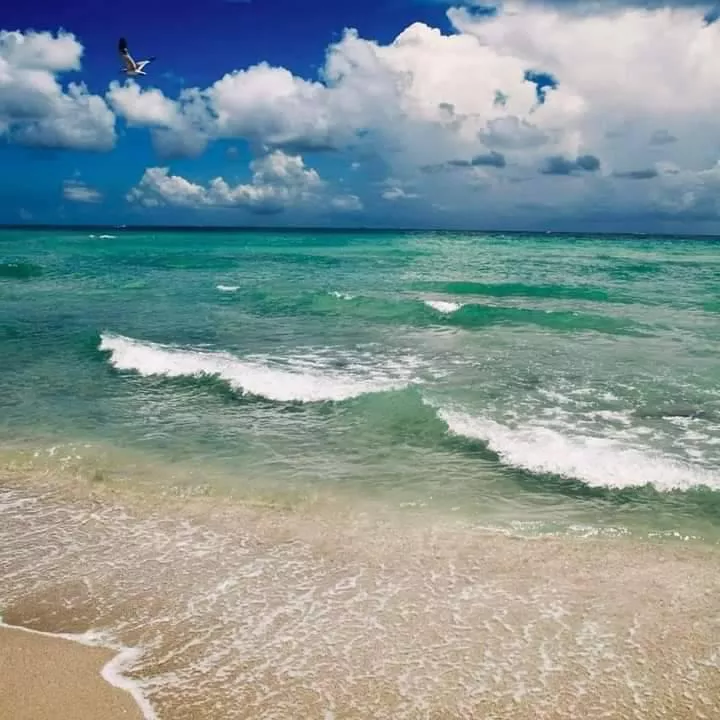 Waking up in the morning with this view is just a perfect way to start a day. 