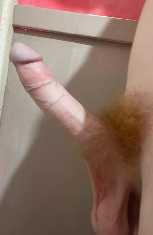 (20) looking for someone to show more like this male or female