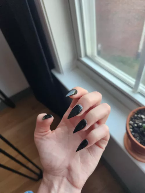 The Better To Scratch You With