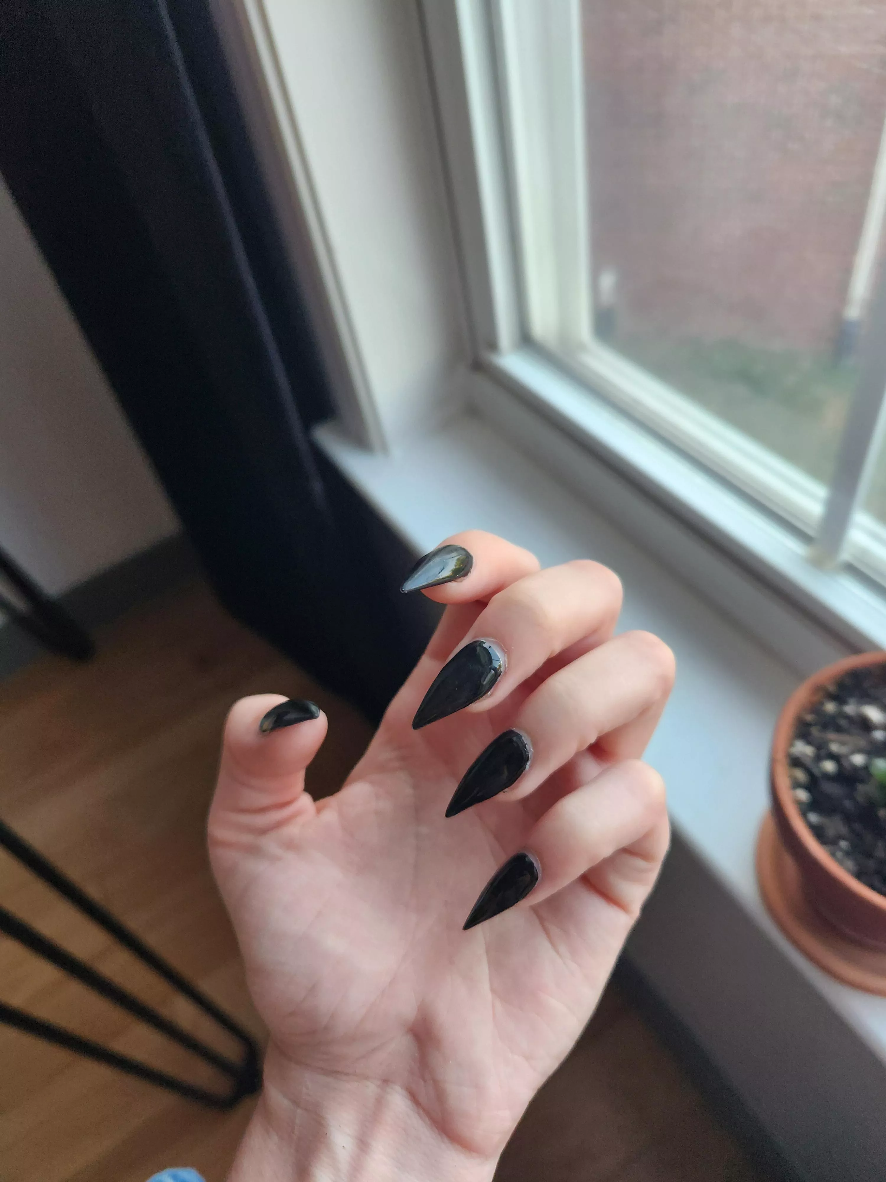 The Better To Scratch You With