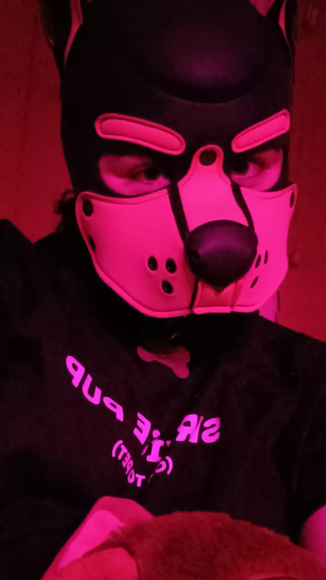 Woof! 💖 🐾 🐶 