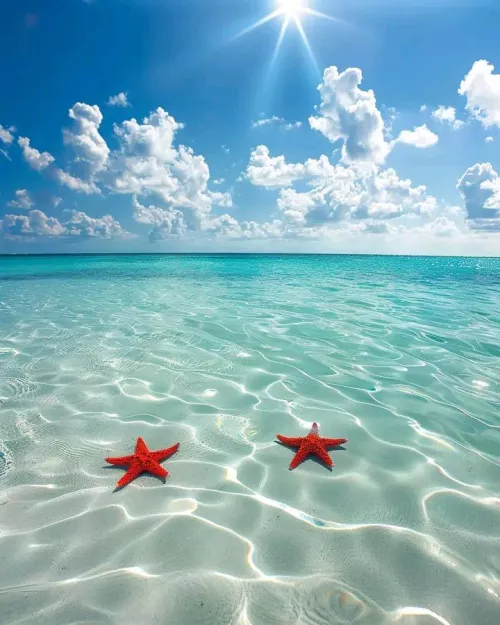 Crystal clear water in Bahamas 🩵