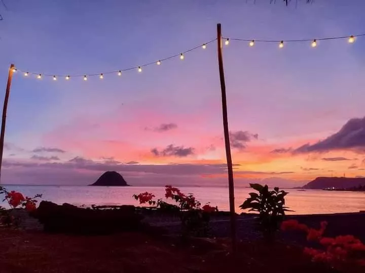 Just enjoying today's view