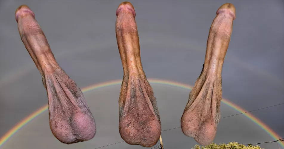 Rare sighting double rainbow but triple cock