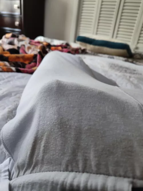 A little morning wood