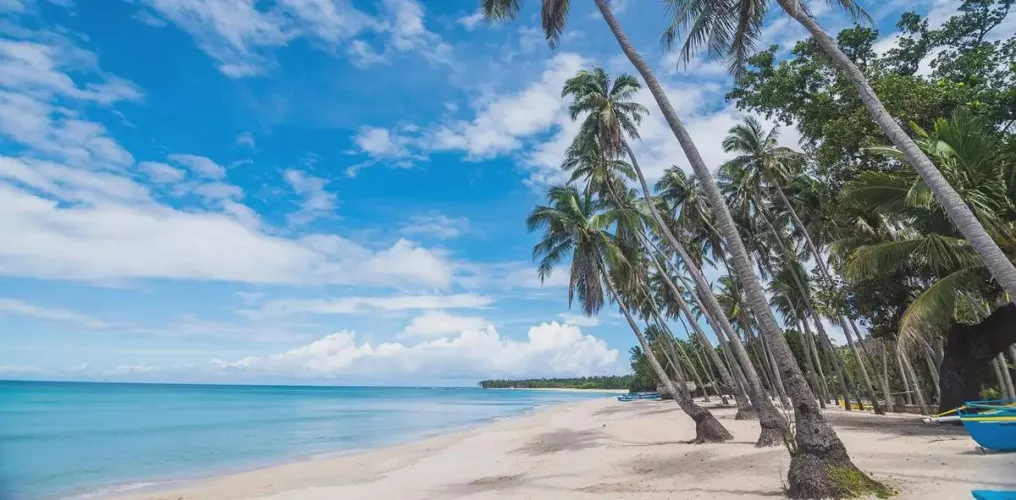 Another beautiful day at the beach. 