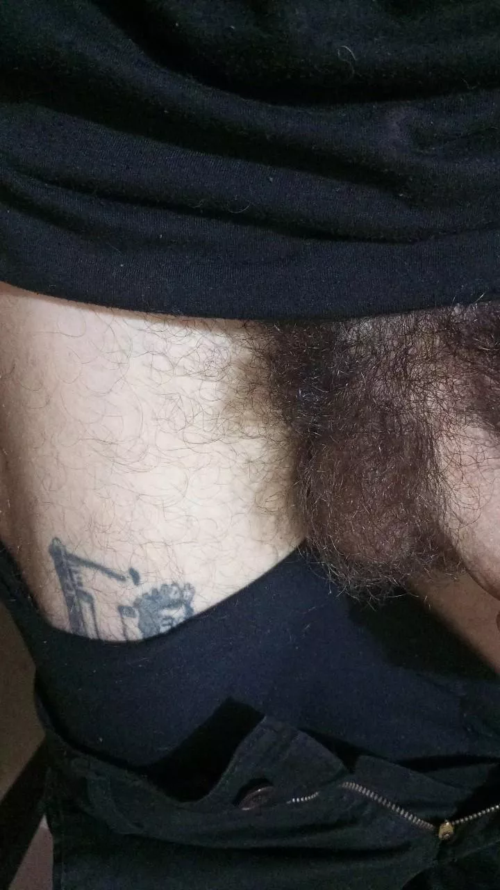 are my balls too much hairy? should i trimm 'em a bit or just keep it full bushy and natural like that?