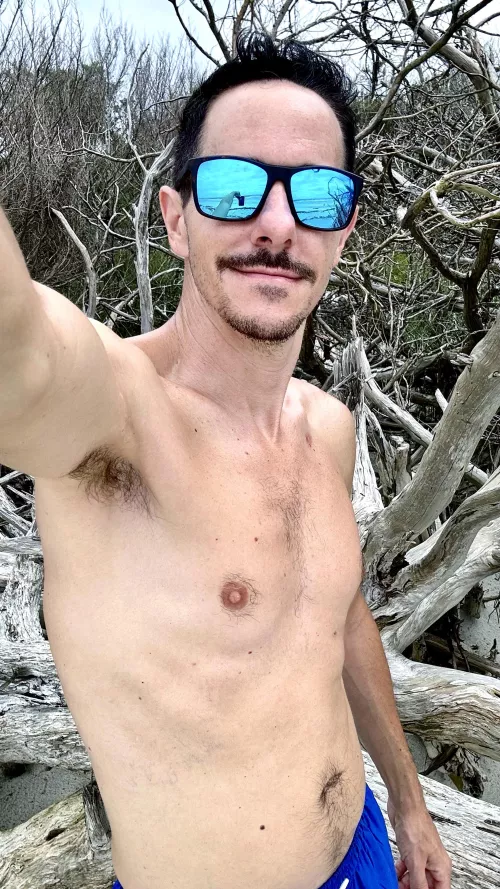 Explored the driftwood at the beach today.