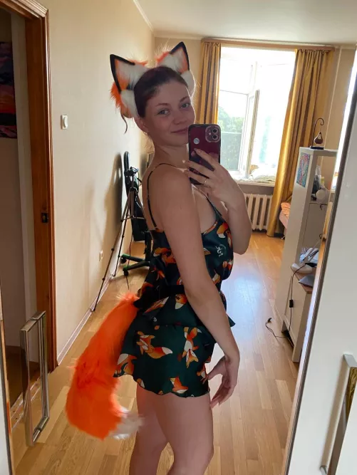 how about playing with that fox