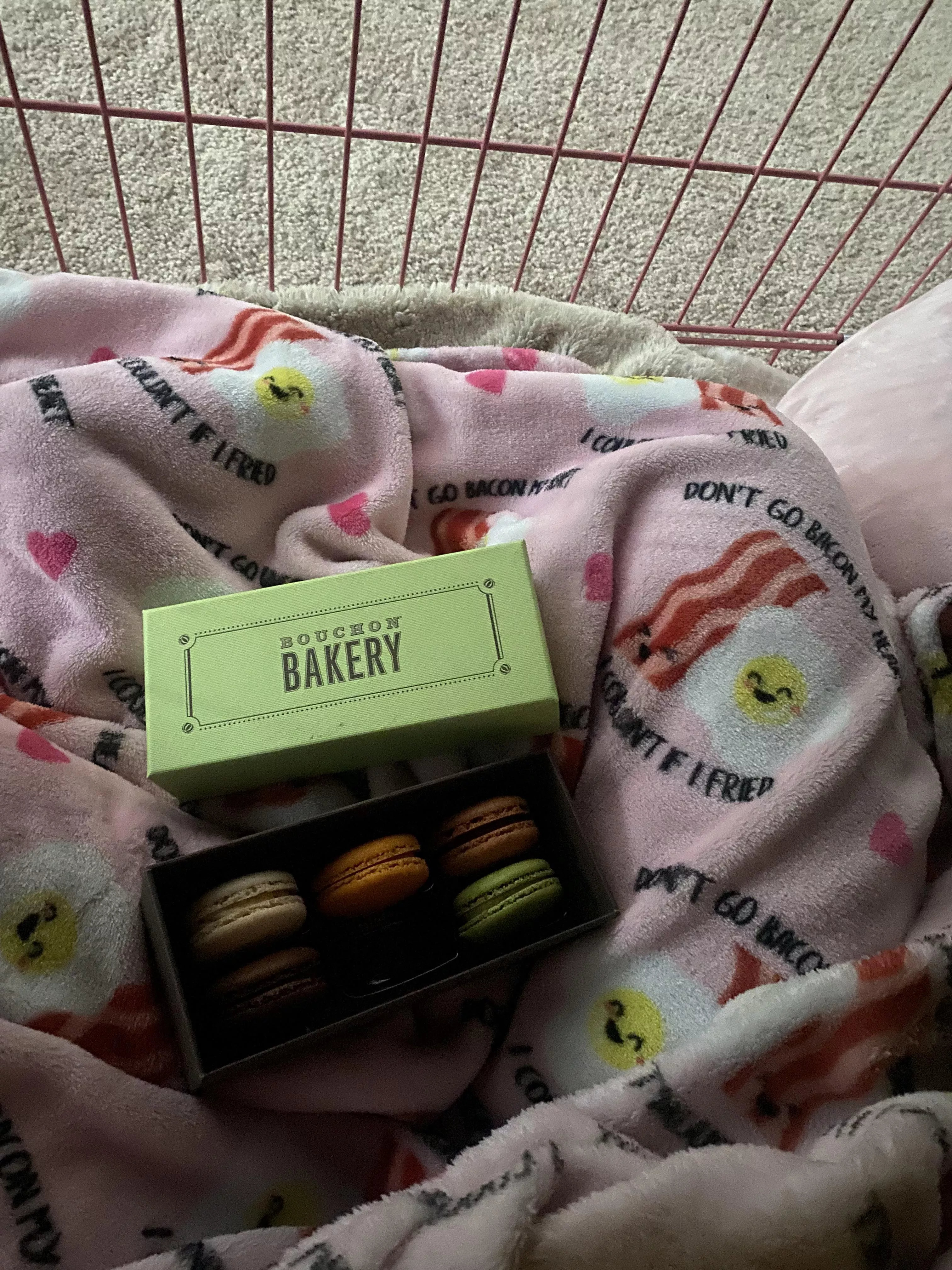 Nothing better than breakfast in bed 🥹