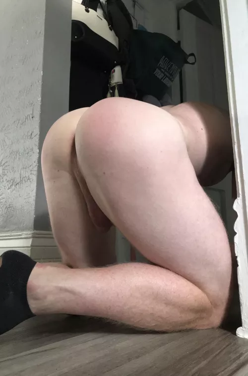 Round ass was made for something hard 