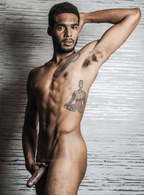 Veiny cut cock for your use 