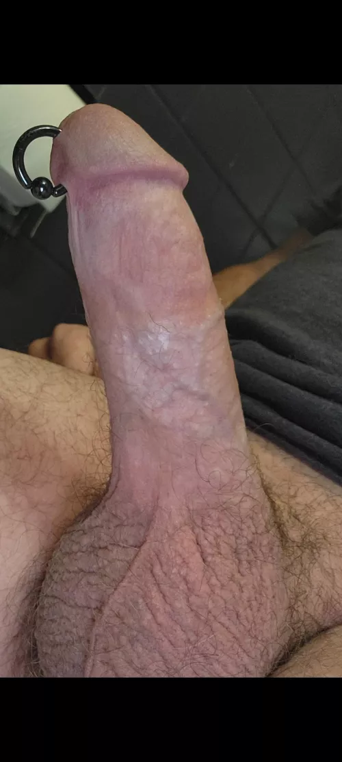 What do you think of my prince albert?