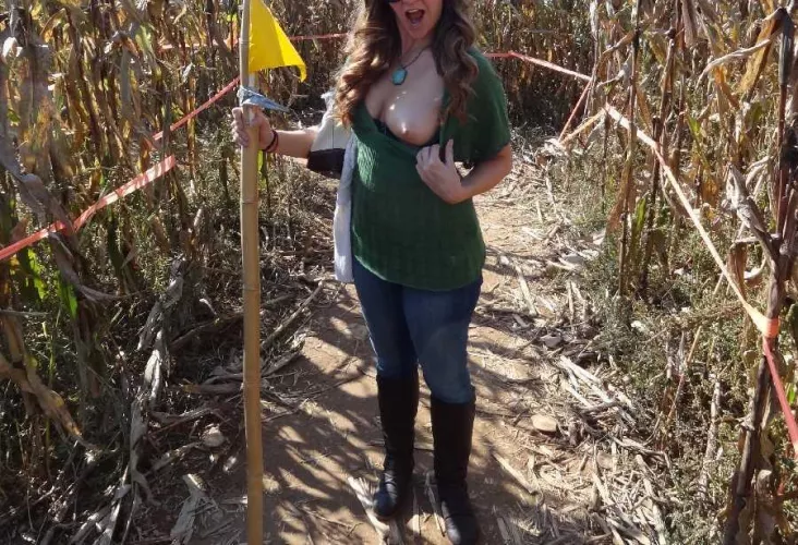 Boob in a Cornfield