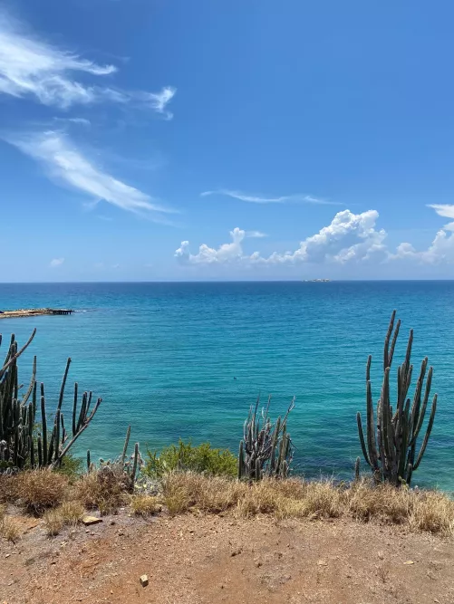 Caribbean sea hits different😮‍💨