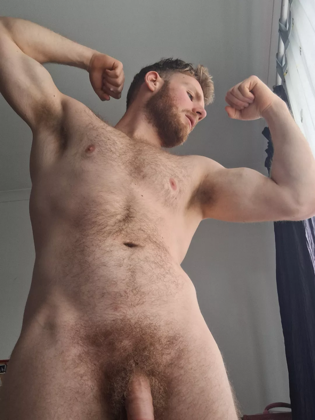 Could you resist the fuzz?