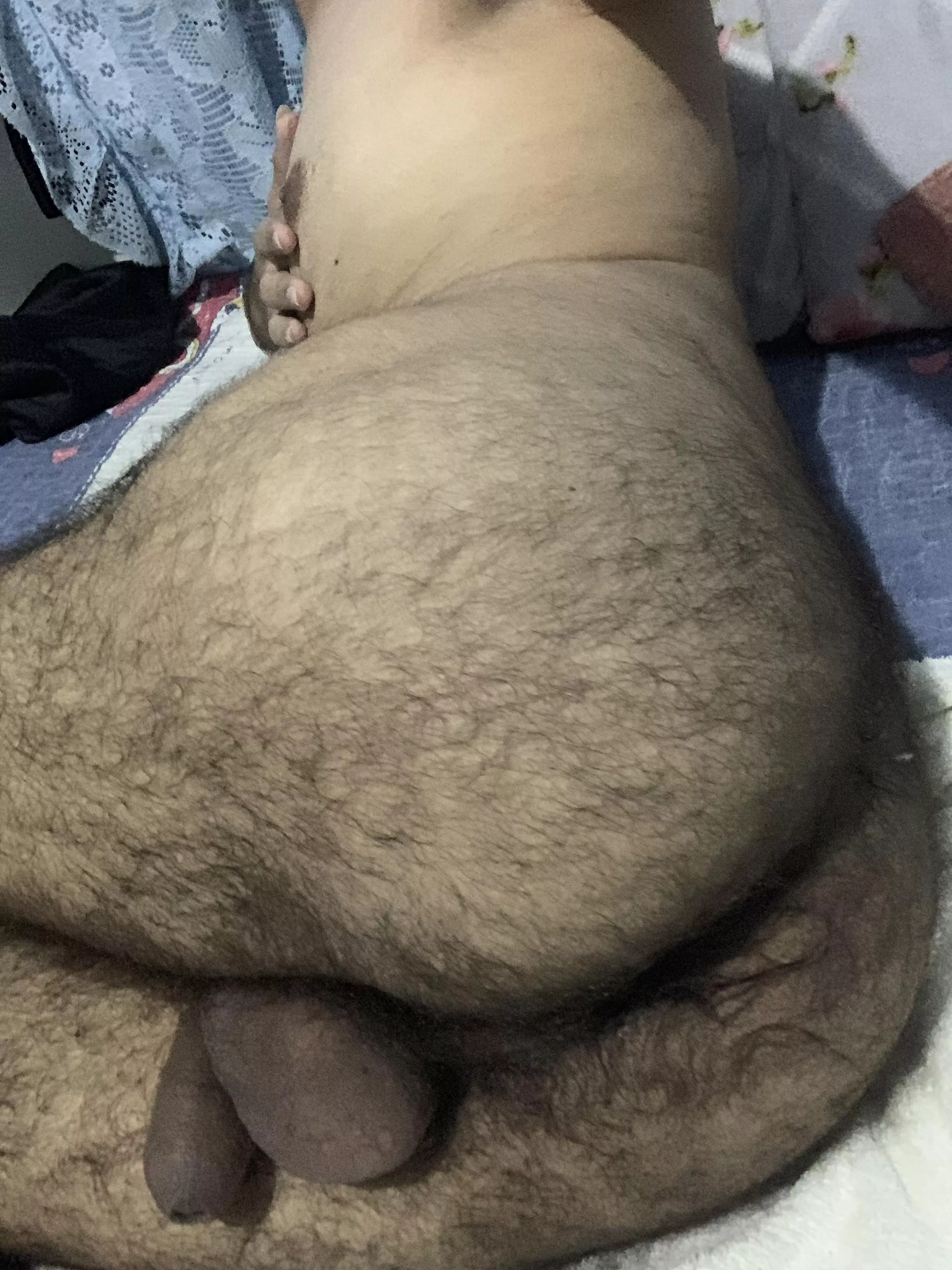 hairy hairy, very hairy