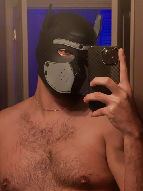 Help me find my pup name (: