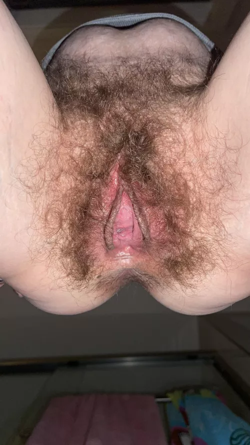 My toilets view of me sitting my HAIRY PUSSY onto it
