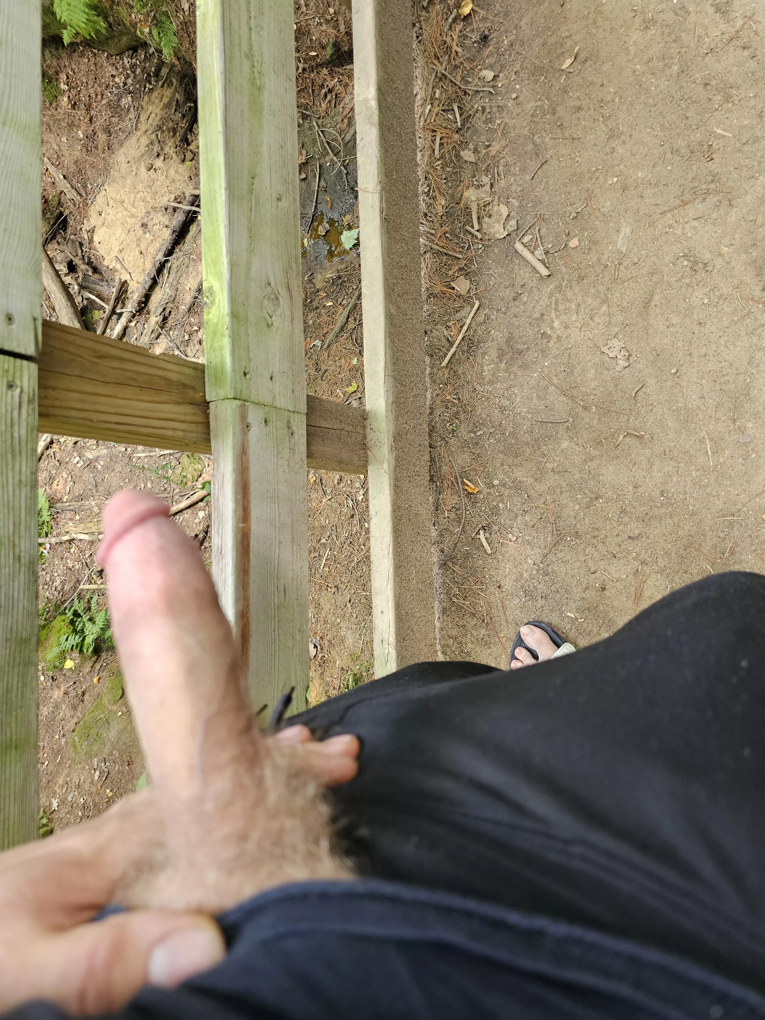 Nice day in the park 