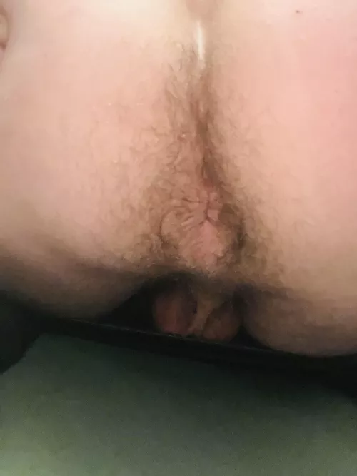 Straight guy here. First asshole pic I have ever taken. Feel free to chat me!