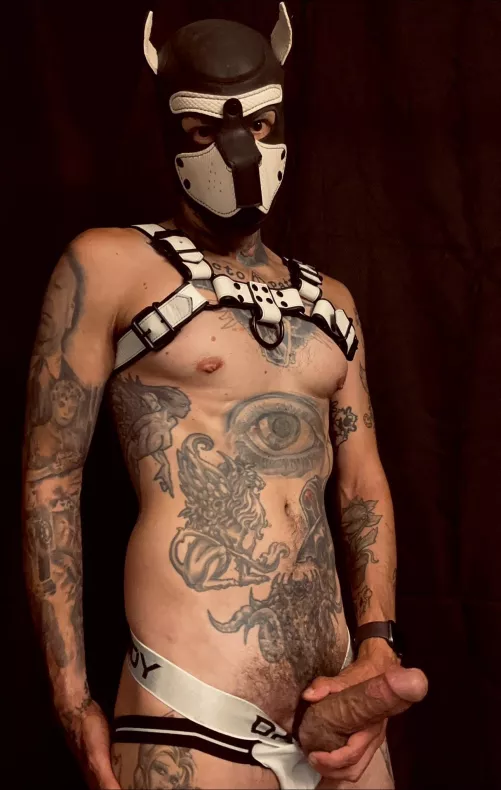 Was feeling pretty thick today! Any volunteers to help me bury my bone? 🦴 😈