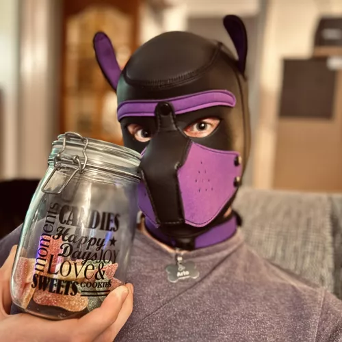 Awwrooo!! 🐶 Has been a while, how’s life treating you? 💜