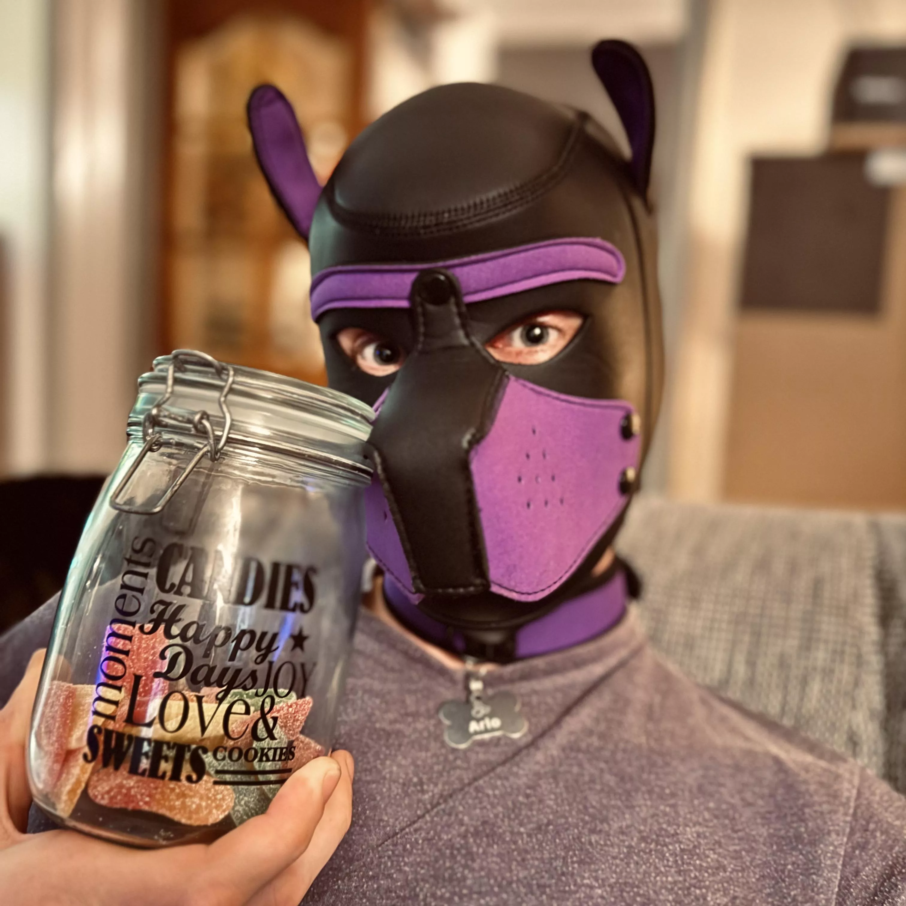 Awwrooo!! 🐶 Has been a while, how’s life treating you? 💜