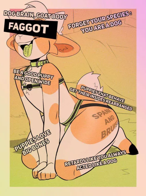 I need to be a good dog like him~