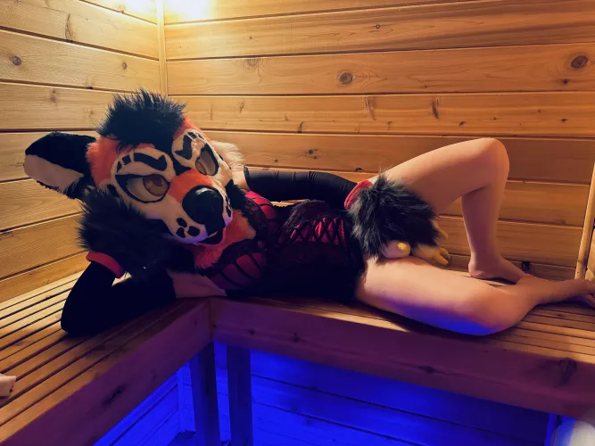 I post new fursuit photos on OF almost daily 🤭 see you there?? 🥰 OF: Styradoggy